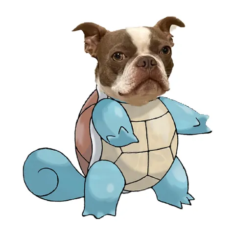 What I asked for vs what I got