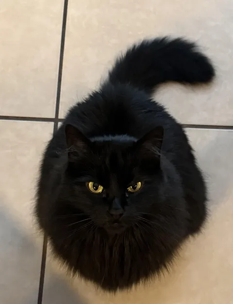 Being judged for not sharing my food