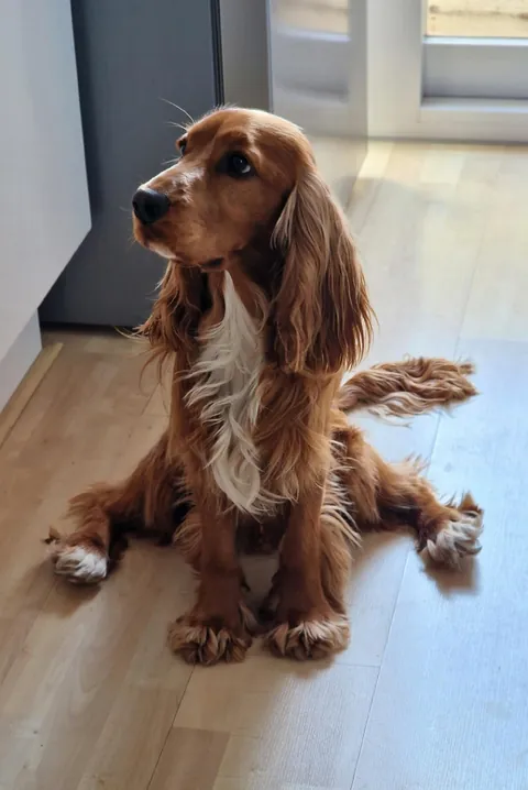 What I asked for vs. What I got