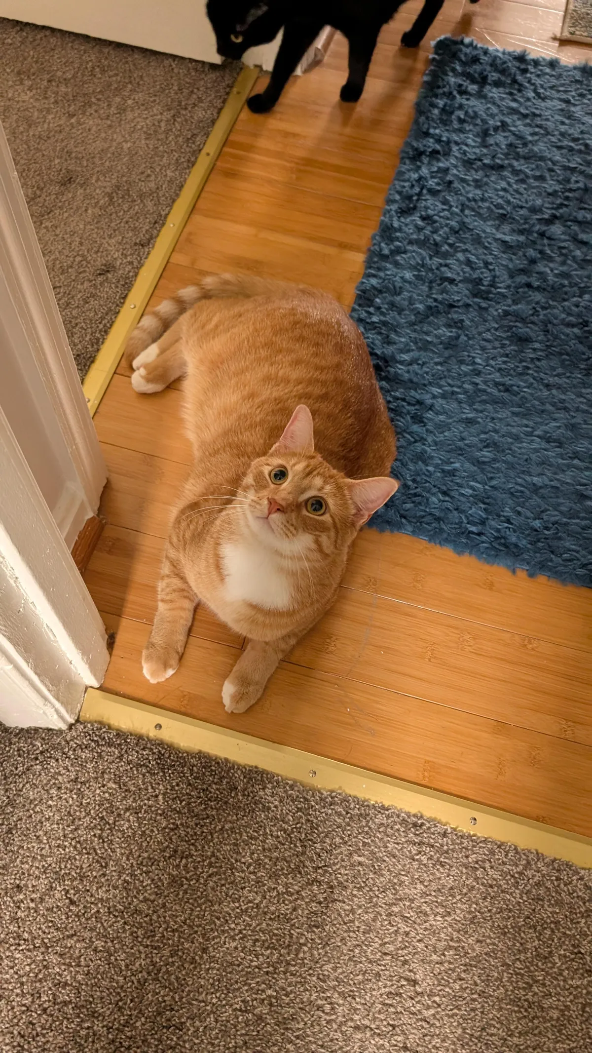 Someone got banished and locked out for unplugging my webcam during meetings...