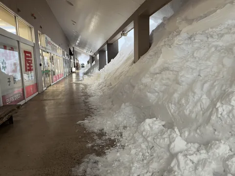 Nagano &amp; Niigata, Japan have gotten an INSANE amount of snow recently !!