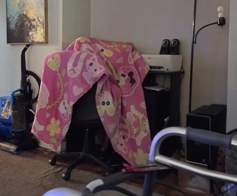 This is how SHE plays the sims 4 (Please Explain) 