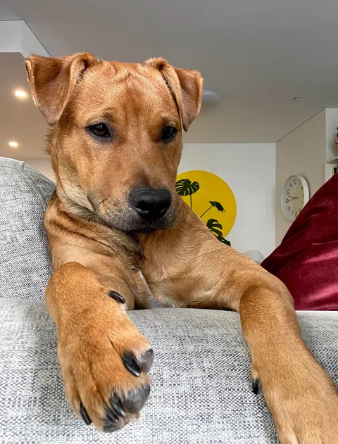 Hector through the years. Which is your favourite photo