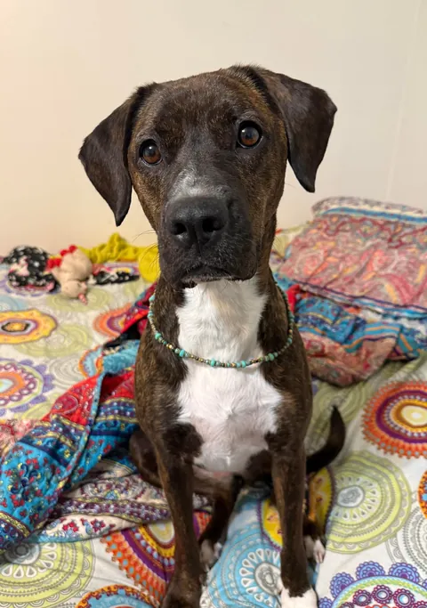 My mommy says I’m a very pretty girl