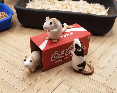 Table Top Rat Zen Garden