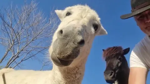 When you accidently open the selfie camera and need to be talked off the ledge 