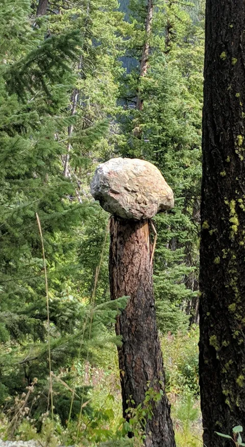 Stumbled across this rock perfectly sitting on an 8ft stump, way out in the middle of nowhere