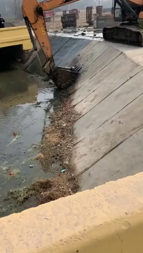 Excavator operator saves a pup