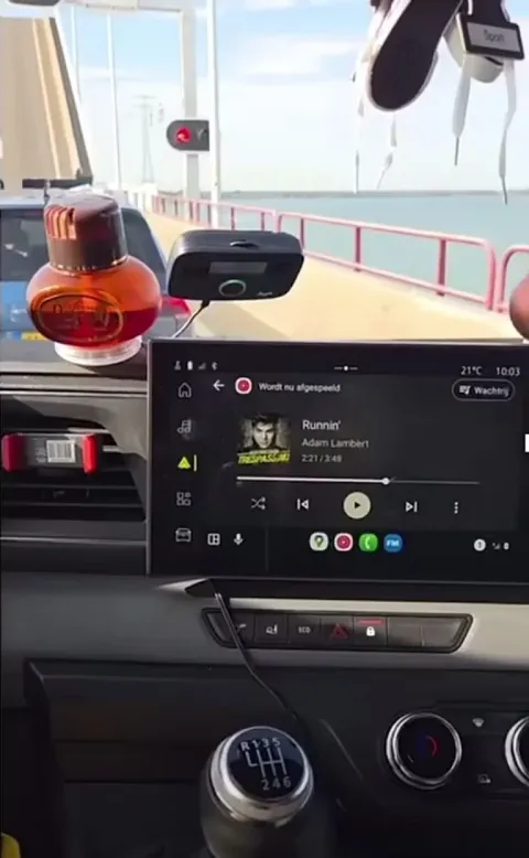 0% Language but 100% Understand