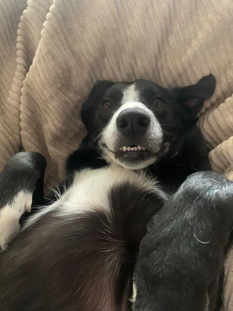 You can’t tell me this isn’t the cutest thing you’ve seen all day