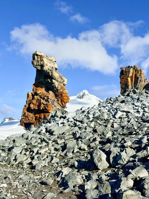 10 days in Antarctica: Wildlife, the Drake Passage and what the expedition was like [OC]