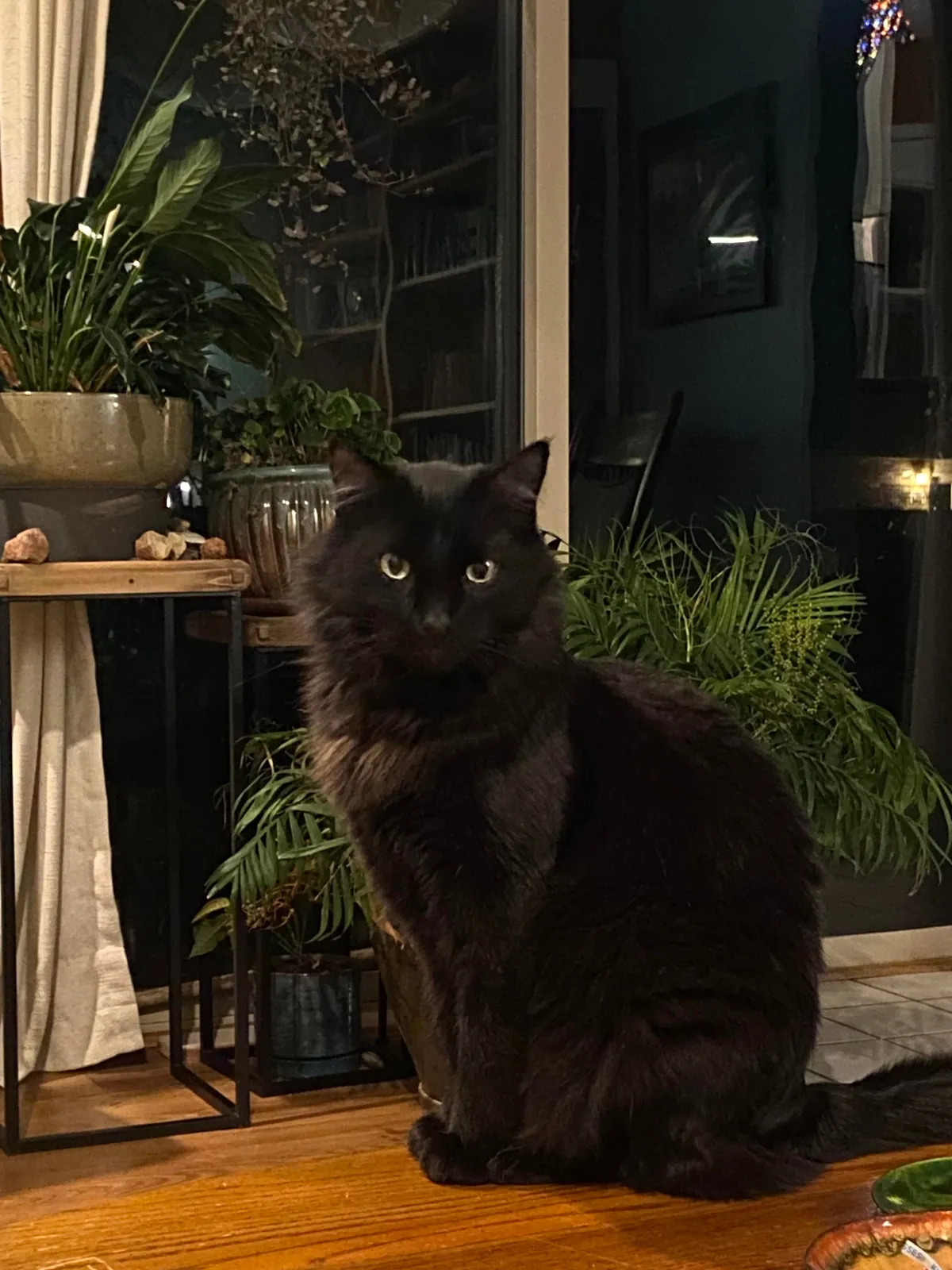 How it started...how it's going