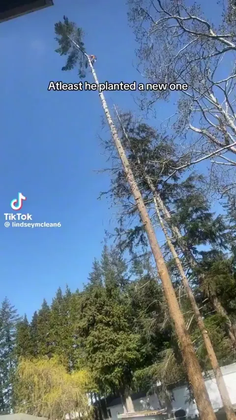 Nobody would’ve believed it if it wasn’t recorded