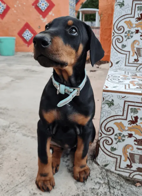 He looks like this now, but back in the day...