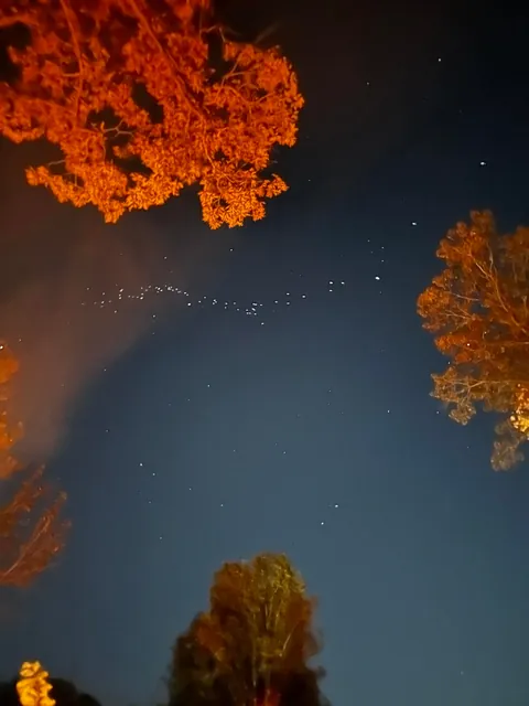 What are these? I’ve seen starlink and these don’t look like it. In North Carolina 