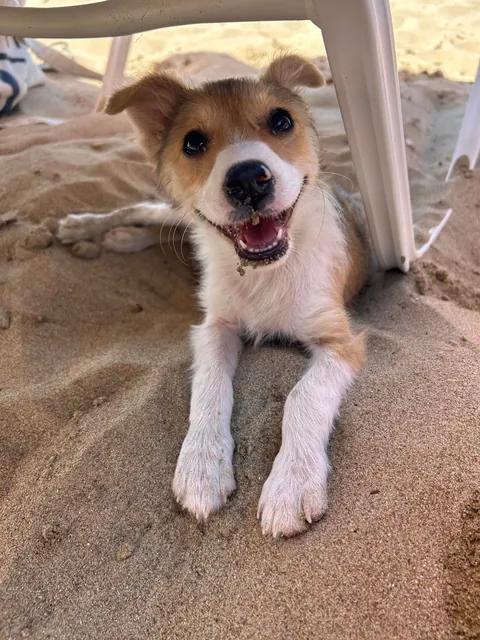 My tiny best friend