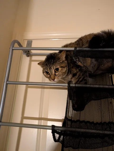 I dyed my hair blue and now she doesn't recognize me