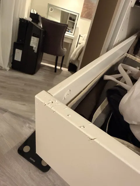 I left my cat in my IKEA drawer closet for almost 6 hours and feel so guilty.