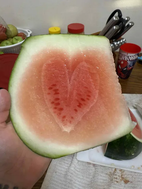 Fiance cut watermelon for the kids earlier and found a heart shape inside [OC]