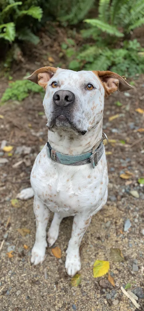 Freckles! He’s the handsomest boy ever.