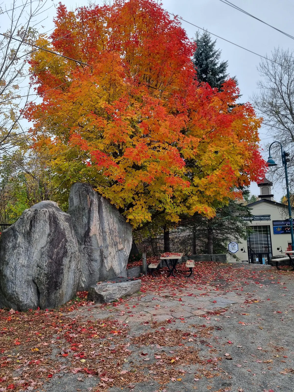 Fall Colors in Muskoka