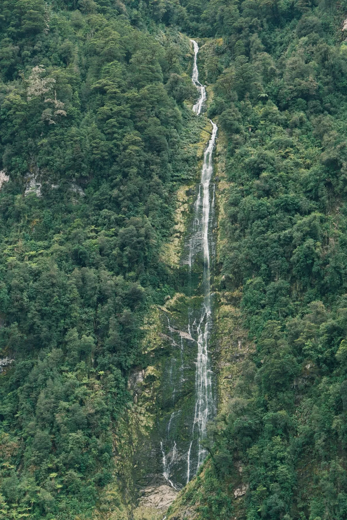 Traveling through New Zealand: Milford and Doubtful Sound