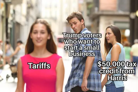 Prospective entrepreneurs voting against their own interests be like...