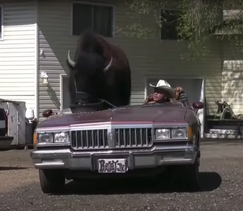 Jim Sautner, the Buffalo Whisperer was a Canadian rancher who raised a 2,000-pound bison named Bailey D. Buffalo like a family dog