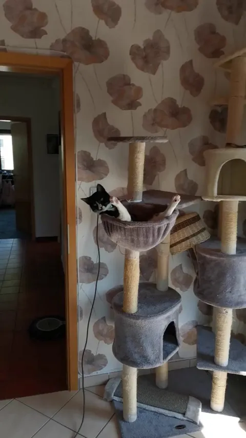 God I love this goofy chaos girl. 😍