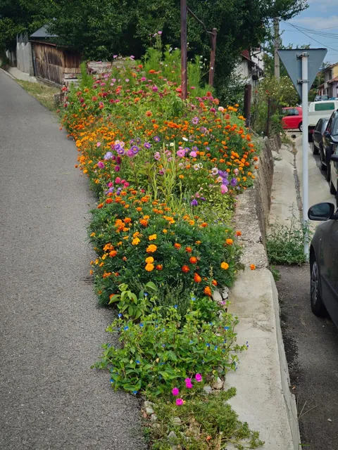 Something I grew just from seeds