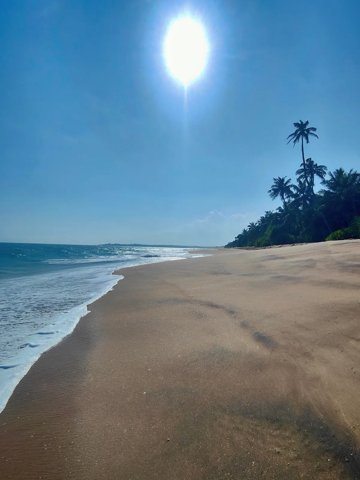 Sri Lanka : sun, tuk-tuks and mild disappointments.