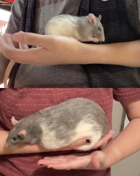 These pictures were taken two years apart