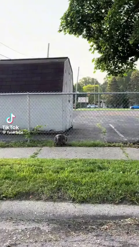 "Single mom who works 2 jobs, who loves her kids and never stops"