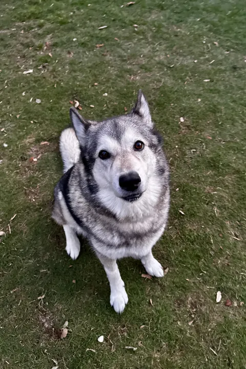 My sweet girl is 10 years old today