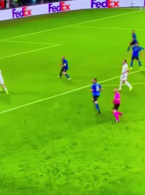 Harry Kane and Kalvin Phillips magically heal from an injury .