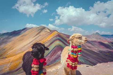 Winners of the 2025 Sony World Photography Awards