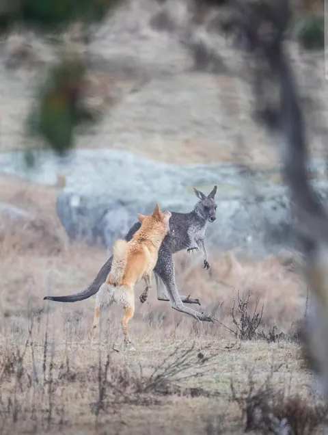 Rivals between worlds