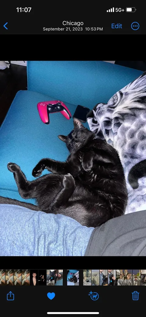 My dad saved him from being a killed