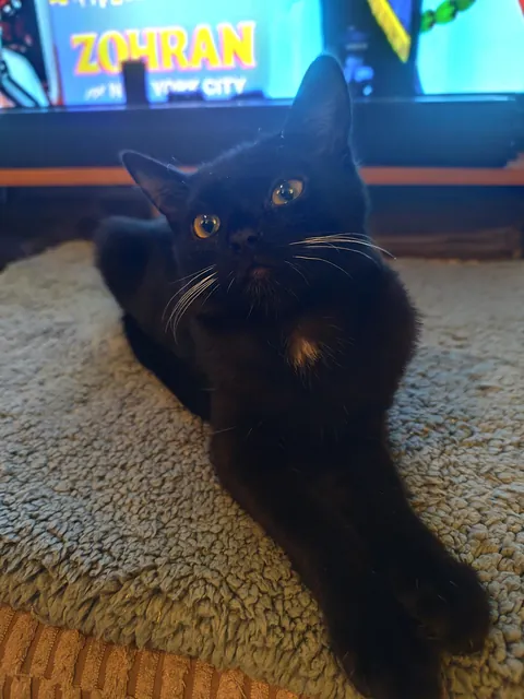 I can't believe how much he's changed in two months!! They grow up so quickly 😭