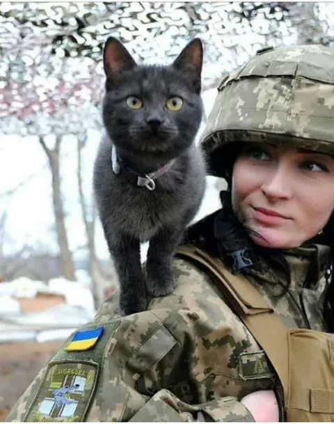 Ukrainian Soldier and Her Cat