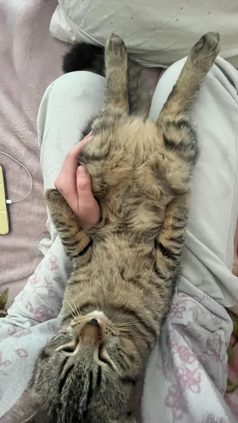 Whomever said money can't buy happiness has never paid an adoption fee!