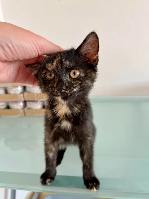 First she’s sour, then she’s sweet.