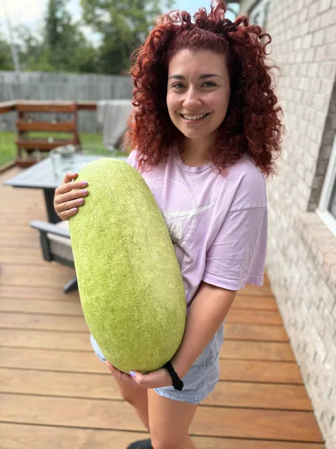 Pride and joy of my garden