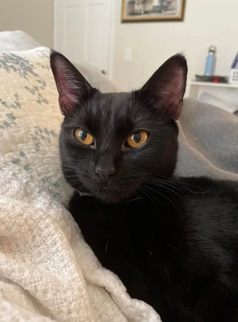 This is Boo, please tell her she’s pretty