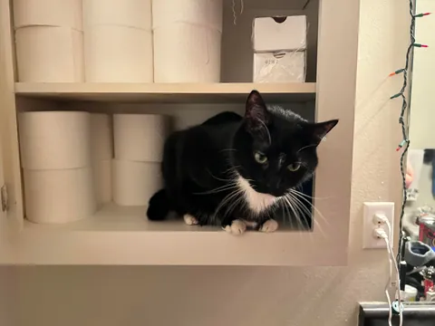 I never wanted to have to make this post. For my baby, Turkleton