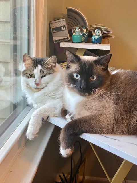 I didn’t know it would be our last day together