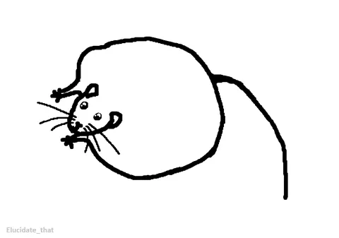 If the election is stressing you out, here are more drawings of some of your goofiest rats