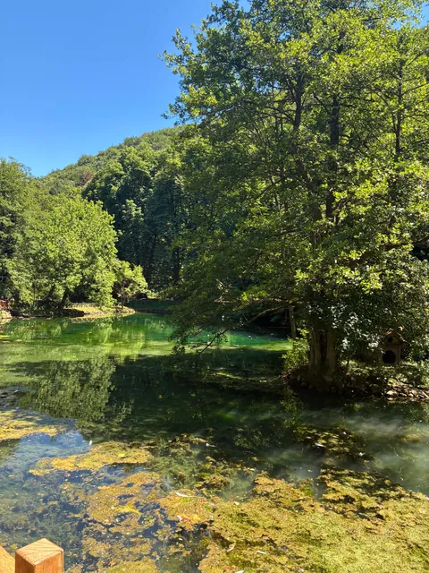 Bosnia in June 2025 (Bonus)