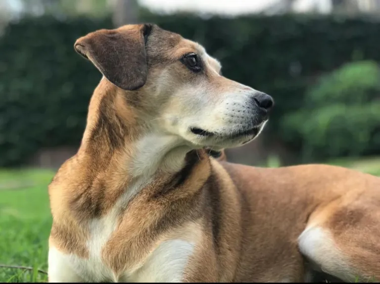 I drew my girl with pastel pencils! What do you think?