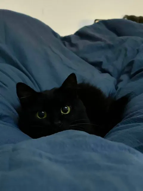 Healing me every day